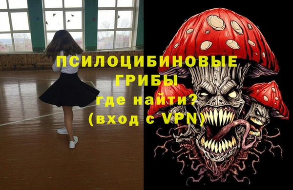 бошки Дмитровск