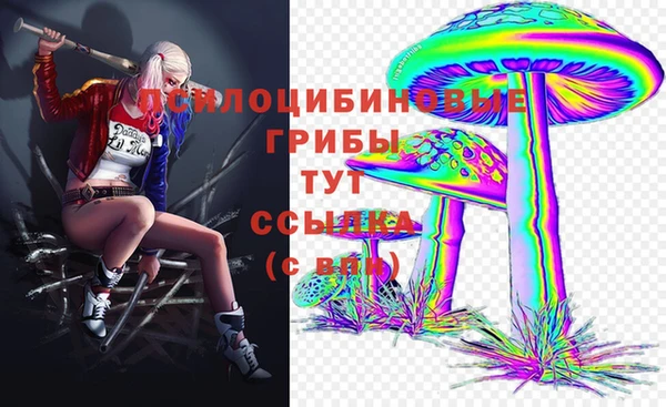 сатива Дмитров
