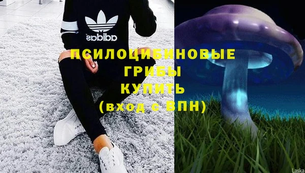 бошки Дмитровск