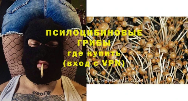 сатива Дмитров