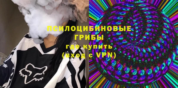 сатива Дмитров