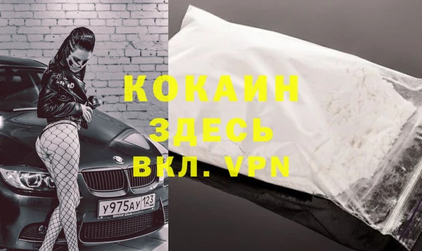 сатива Дмитров