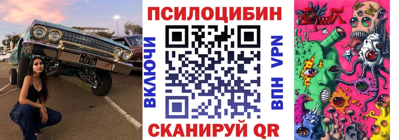 Купить Новоуральск Псилоцибиновые грибы мицелий